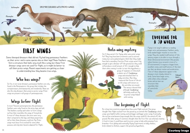 "When Dinosaurs Conquered The Skies," was written by Jingmai O’Connor, illustrated by Maria Brzozowska, and designed by Karen Hood, copyright © 2022. (Reproduced by permission of the publisher, words & pictures, an imprint of The Quarto Group, Beverly, MA.)