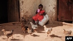 ফাইল ছবি- বিশ্বের প্রথম ম্যালেরিয়া ভ্যাকসিন (আরটিএস, এস) পাইলট প্রোগ্রামের মাধ্যমে ডোজ সম্পন্ন করা ৩ বছর বয়সী ফেইথকে দেখা যাচ্ছে। মুকুলি, কেনিয়া। ( ৭ মার্চ, ২০২৩ )