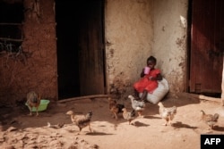 گھانا میں ملیریا کی پہلی ویکسین کی تین خوراکیں لینے والی ایک بچی چائے پیتےہوئے ، فوٹو اے ایف پی، مارچ 2023