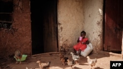 FILE - Faith, 3, who completed doses through the world's first malaria vaccine (RTS,S) pilot program, drinks tea at home in Mukuli, Kenya, on March 7, 2023.