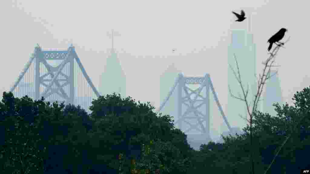 نیو یارک سے 150 کلو میٹر دور فلاڈیلفیا شہر میں بھی دھوئیں سے شہری متاثر ہوئے ہیں۔&nbsp;