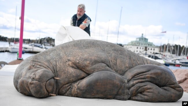 The sculpture of the walrus 'Freya' is unveiled in Oslo, Norway, April 29, 2023. The walrus was euthanized because the public did not keep their distance from her in August 2022.