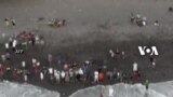 Paus Sperma Terdampar Mati di Bali, Sehari Setelah Diselamatkan