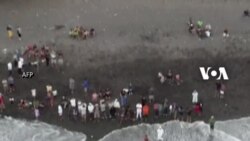 Paus Sperma Terdampar Mati di Bali, Sehari Setelah Diselamatkan