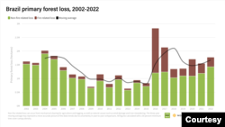 The primary forest loss in Brazil 2002-2022, in hectares.