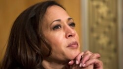 Kamala Harris pode vir a ser a candidata presidencial