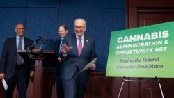 Senator Chuck Schummer (kanan) menggelar konferensi pers untuk membahas legalisasi ganja di Amerika Serikat, dalam konferensi pers di Washington, pada 30 April 2024. (Foto: AP/J. Scott Applewhite)