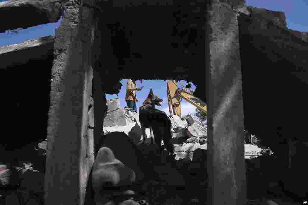 People and dogs dig through the rubble of a home that was damaged by an earthquake, in the village of Tafeghaghte, near Marrakech, Morocco, Monday, September 11, 2023.