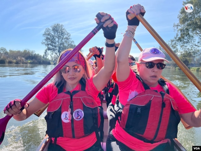 La predisposición hereditaria a desarrollar cáncer de mama explica entre el 5 % y el 10 % de todos los casos, pero es poco frecuente en la población en general (menos del 1 %), según estudios del Instituto de Investigación del Cáncer (CRI).