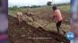 ደቡብ ክልል ውስጥ ከሁለት ሚሊየን በላይ ሰው እርዳታ ይጠብቃል