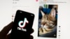 FILE - The TikTok logo is seen on a mobile phone in front of a computer screen which displays the TikTok home screen, in Boston, March 18, 2023.
