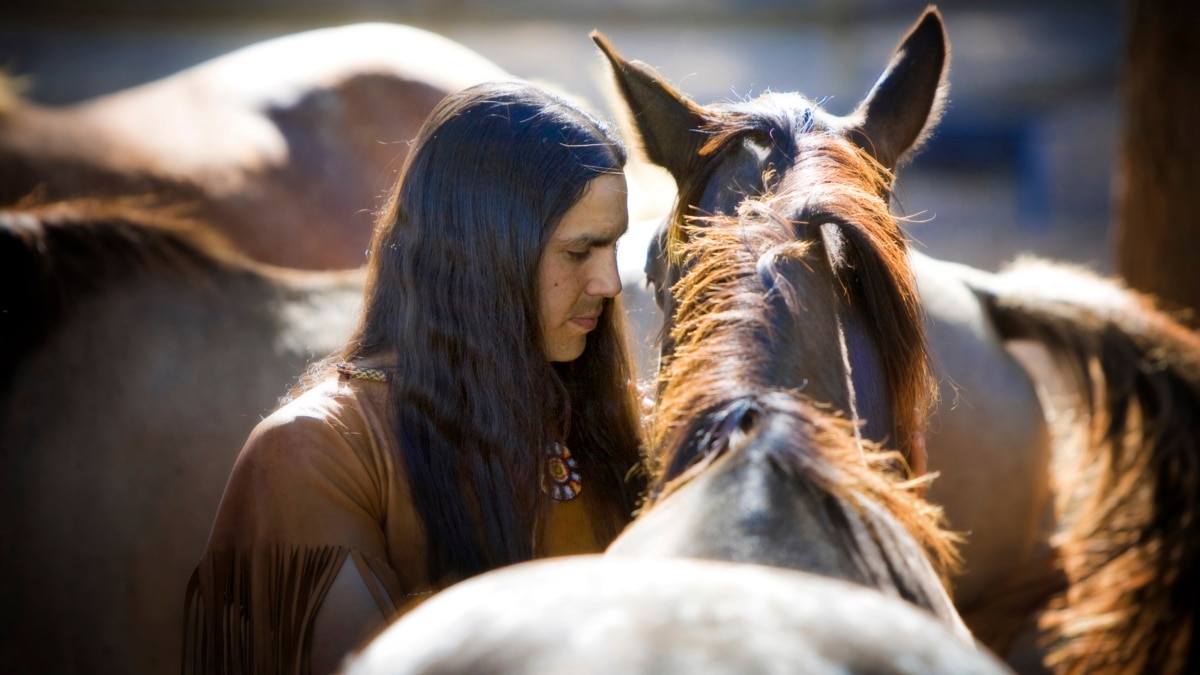 study-horses-were-in-american-west-by-early-1600s