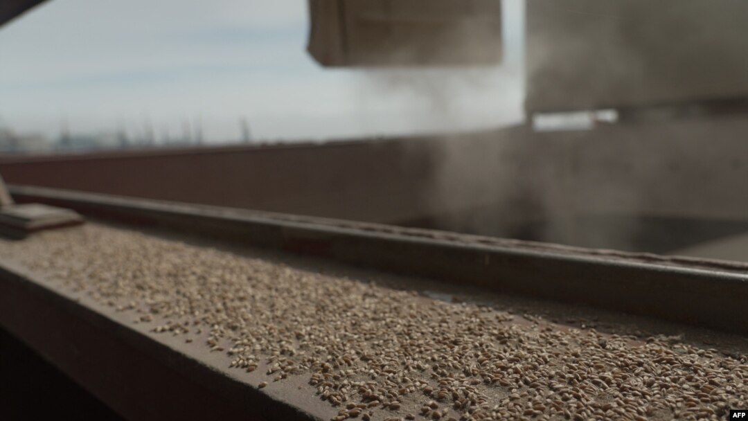 FILE - Grain is loaded on a bulk carrier in the Black Sea port of Chornomorsk, Odesa region, within the program "Grain From Ukraine," March 24, 2023.