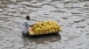 Seorang penjual buah mendorong gerobaknya yang berisi pisang melalui jalan yang tergenang banjir setelah hujan deras di kota Lahore, Pakistan. (AFP)&nbsp;