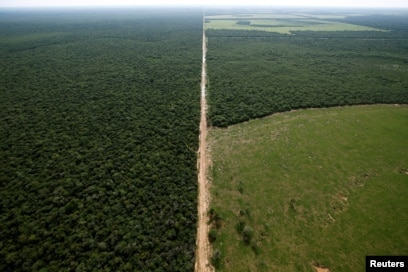 El Gran Chaco en Argentina una zona que se enfrenta a la