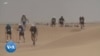 Au Maroc, 1 200 concurrents à la 37e édition de l'ultra marathon des sables