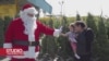 Los Angeles: Kompanija za reciklažu nudi božićna drvca u zamjenu za smeće