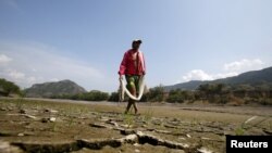 FILE - A fisherman walks on the dry, cracked shore of the Magdalena River, the longest and most important river in Colombia, in the city of Honda, Jan. 14, 2016. El Nino is expected to bring extreme weather across the globe in 2023, from droughts to cyclones.