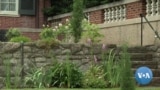 Jardim histórico de Washington é remodelado de forma ecológica