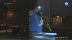 Washington’da farelerle mücadelede köpekler ve kediler iş başında