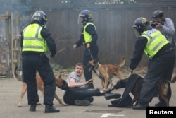 Anjing-anjing polisi menyerang seorang demonstran pria selama protes antiimigrasi di Rotherham, Inggris, 4 Agustus 2024.