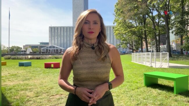 Consejo de Seguridad de la ONU continúa debate sobre crisis en Ucrania 