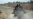 Afghan refugees worry as Iran continues forced deportation
