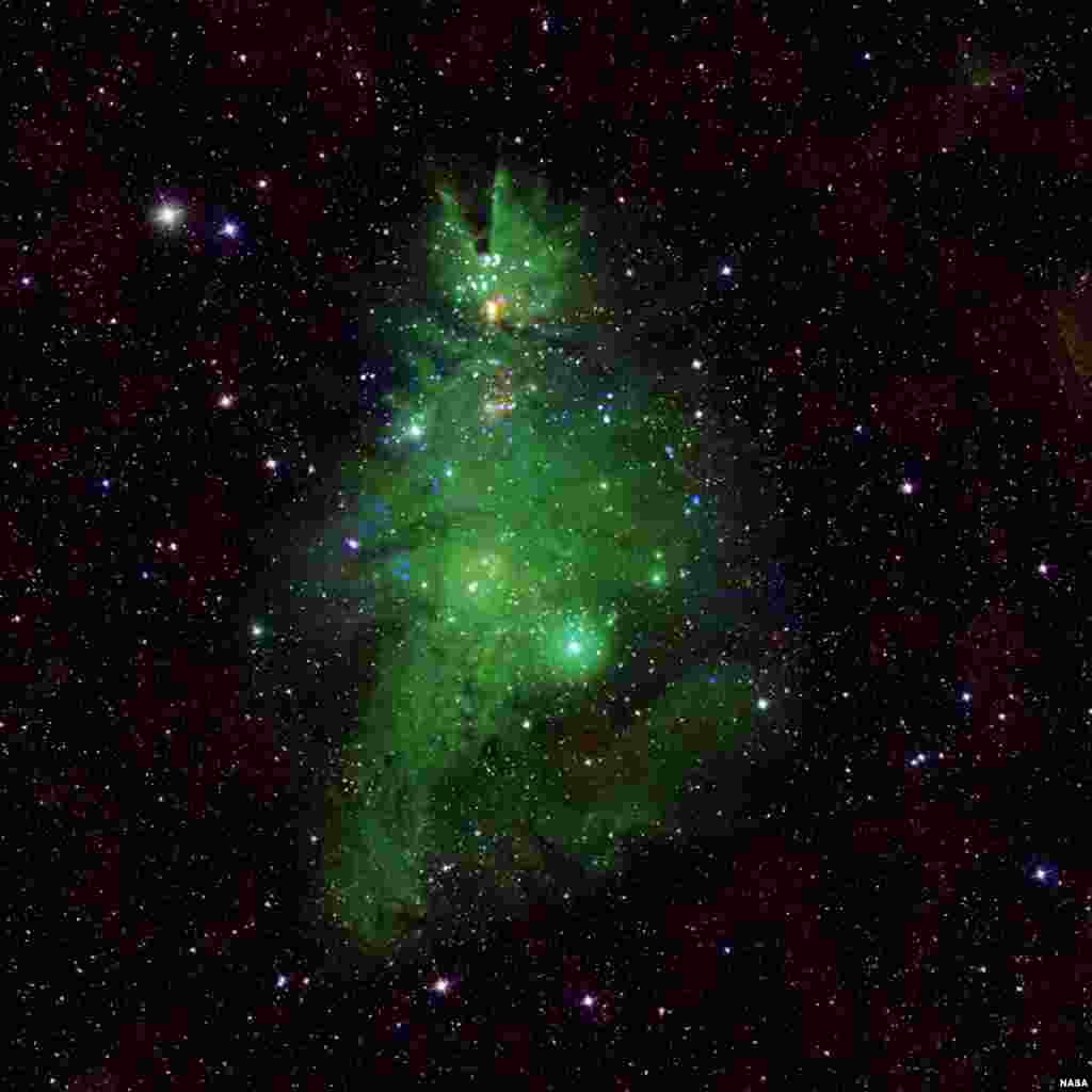 The orbiting telescope recently unwrapped the latest data from the &quot;Christmas Tree Cluster,&quot; a bundle of shining stars about 2,500 light-years from Earth. The blue-and-white lights are young stars, seen with Chandra&#39;s X-ray vision, which decorate the green nebula of gas that surrounds them.