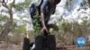  Kenya Enlists Mobile Technology to Help Improve Forest Cover 