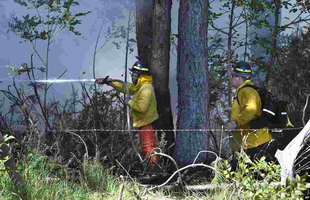 Members of a Hawaii Department of Land and Natural Resources wildland firefighting crew on Maui battle a fire in Kula, Hawaii, Aug. 8, 2023. 
