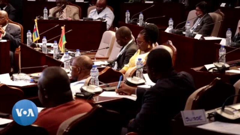 L'Alliance Politique Africaine, cadre de concertation panafricain, voit le jour à Lomé