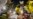 16x9 Image