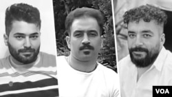 از چپ: مجید کاظمی، سعید یعقوبی، صالح میرهاشمی