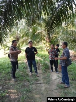 Petani sawit yang juga warga Suku Dayak lebih dua dekade mengelola lahan dengan tetap menjaga hutan adat mereka. (Foto: Courtesy/Valens A)