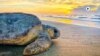 World Ocean Day 2023
