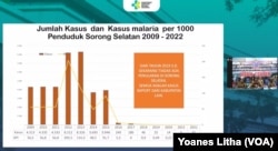 Direktur Pencegahan dan Pengendalian Penyakit Menular, Kementerian Kesehatan, Imran Pambudi menyampaikan situasi malaria di Indonesia 2022, dari total 443.530 kasus, 89 persen berasal dari Provinsi Papua, dalam tangkapan layar.