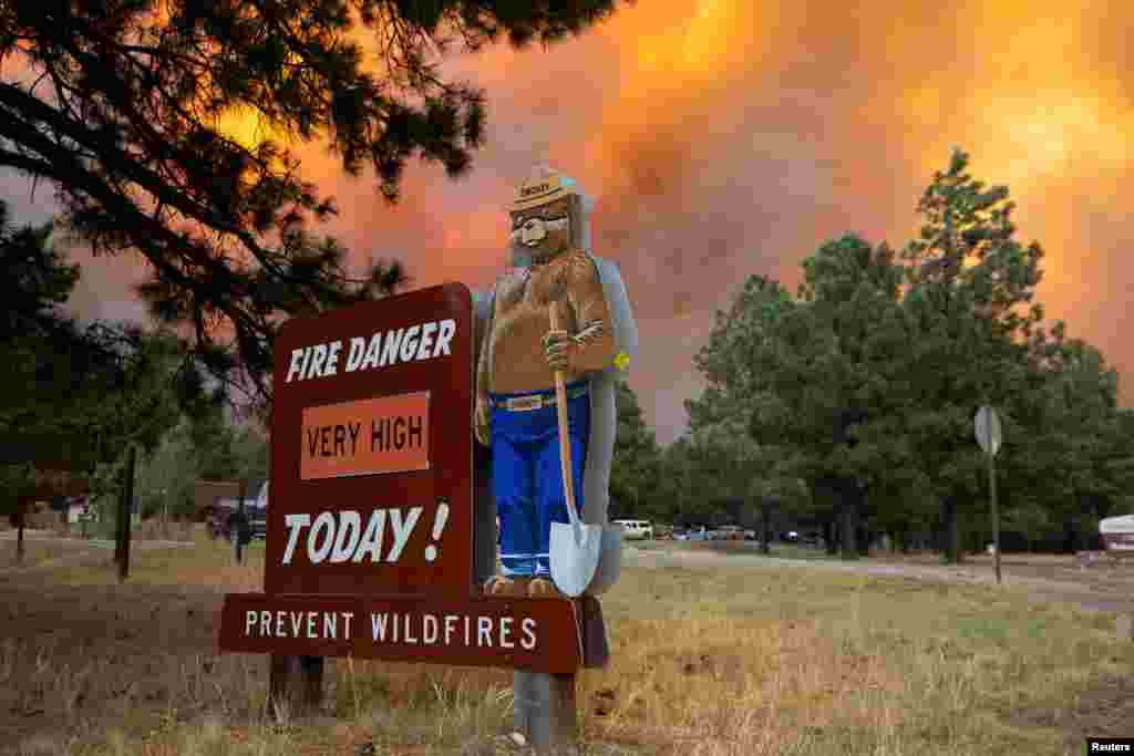 Smoke plumes from the South Fork Fire rise above the tree line as the fire progresses from the Mescalero Apache Indian Reservation to the Lincoln National Forest causing mandatory evacuations in Ruidoso, New Mexico, June 17, 2024. 