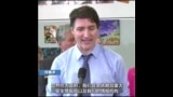 加拿大总理特鲁多呼吁民众不要使用 TikTok 