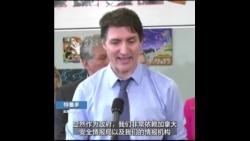 加拿大总理特鲁多呼吁民众不要使用 TikTok 