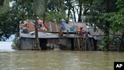 বাংলাদেশের সিলেটে বন্যার জলে ঘেরা তাদের বাড়ির টিনের চালের উপর বসে আছে বাসিন্দারা। ২১ জুন, ২০২৩। (ফাইল ছবি) 