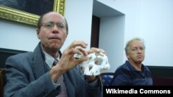 University of California Berkeley paleoanthropologist Tim White, left, displays a cast of fossil skeleton "Ardi," discovered in Ethiopia. 