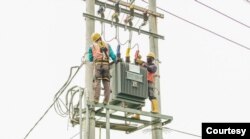 Petugas PLN melakukan perawatan jaringan listrik di kawaan Situbondo, Jawa Timur. (Foto: PLN)