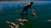 ARCHIVO - Un hombre busca peces que todavía están vivos mientras los peces muertos se aglomeran en la orilla del río Salado durante una sequía en la provincia de Buenos Aires, Argentina, el domingo 22 de enero de 2023.
