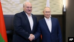 俄罗斯总统普京在索契会见到访的白俄罗斯总统卢卡申科。（2023年9月15日）