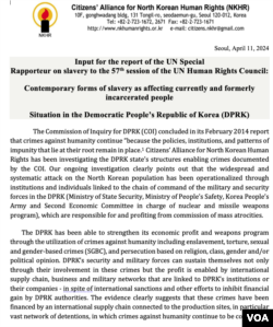 북한인권시민연합이 제출한 보고서.