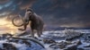 An undated artist's impression of the last woolly mammoth on Wrangel Island in the Arctic Ocean off the coast of Siberia, Russia. 