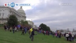 এক ঝলকে আমেরিকার বিশেষ কিছু খবর