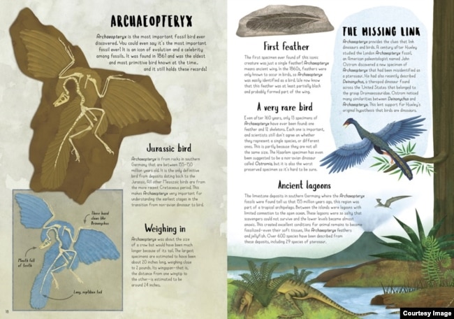 Pages from "When Dinosaurs Conquered The Skies," by O’Connor and Brzozowska, copyright © 2022. (Reproduced by permission of the publisher, words & pictures, an imprint of The Quarto Group, Beverly, MA)