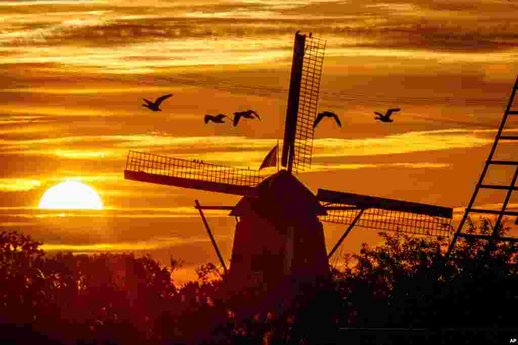 Geese fly by a wind pump in Kinderdijk, Netherlands.