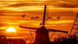 Geese fly by a wind pump in Kinderdijk, Netherlands, Aug. 14, 2023. 